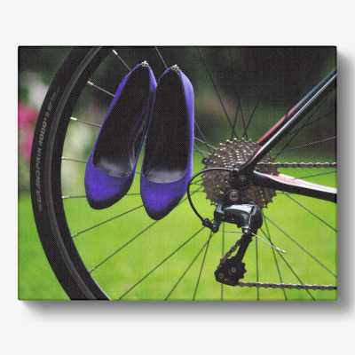 A canvas print of a rear wheel of a bicycle, the wheel has a pair of blue high heeled shoes hung off the spokes and there is a garden seen through the wheel