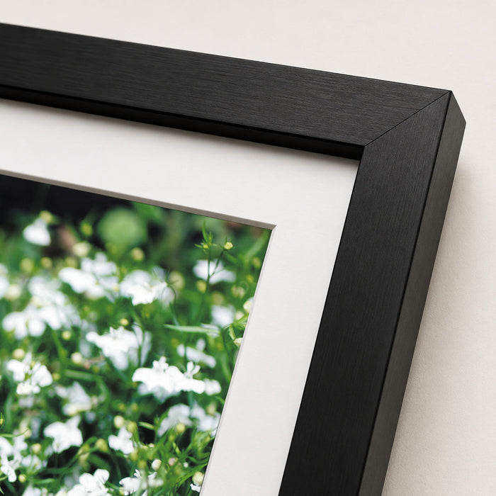Shoes In The Flower Bed Framed Print