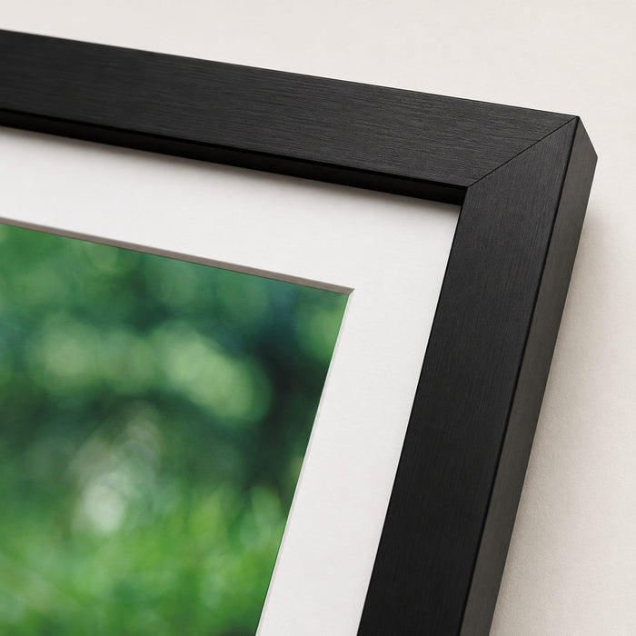 Shoes In The Woods Framed Print