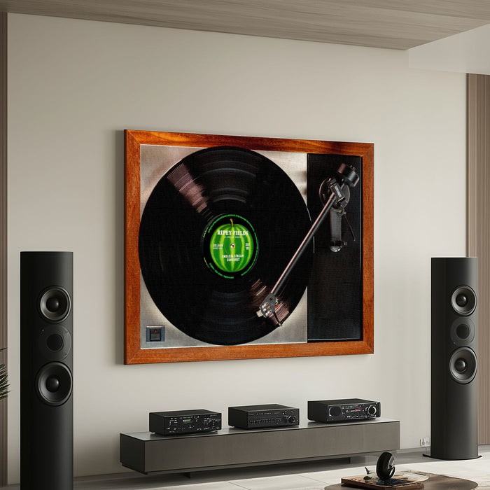 Record Player Canvas Print