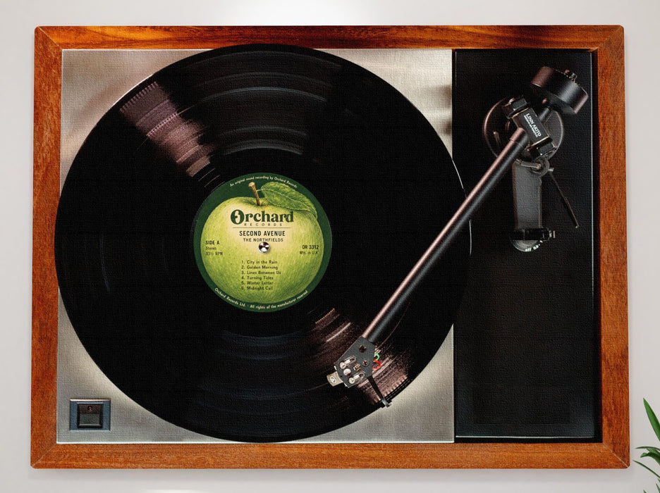 Record Player Canvas Wall Art