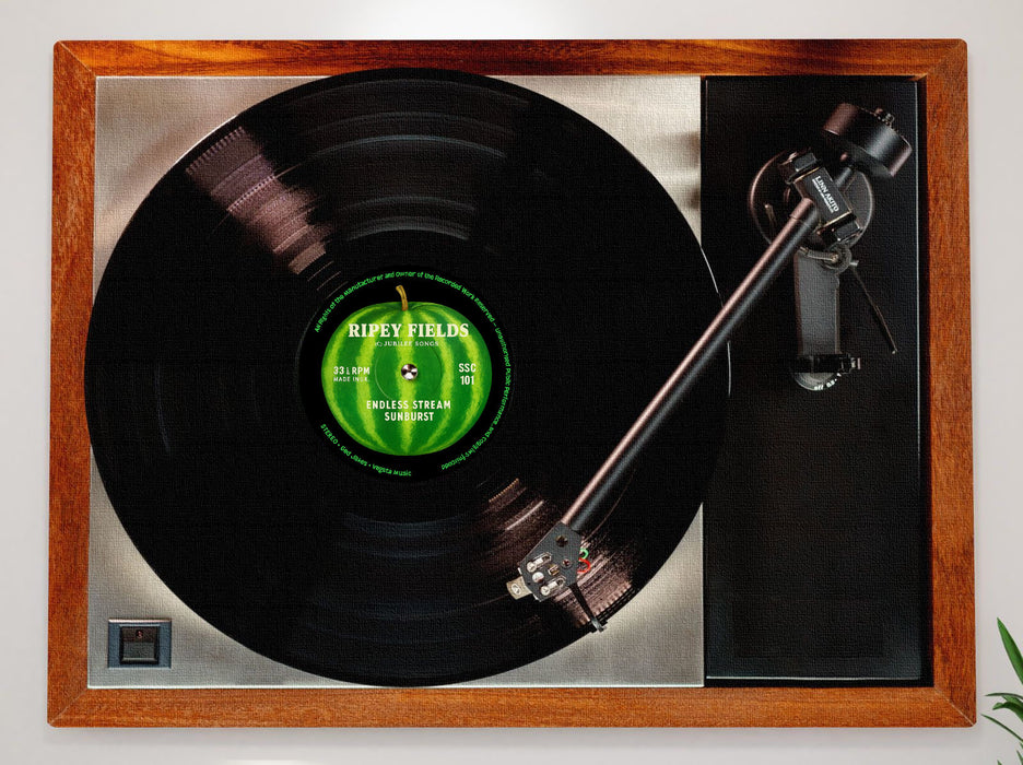 Record Player Canvas Print