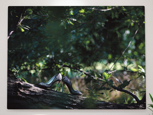 A pair of black and white shoes sat on the branch of a tree, there are other trees and leaves in the background