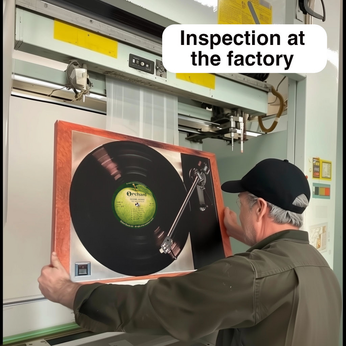 Record Player Canvas Wall Art