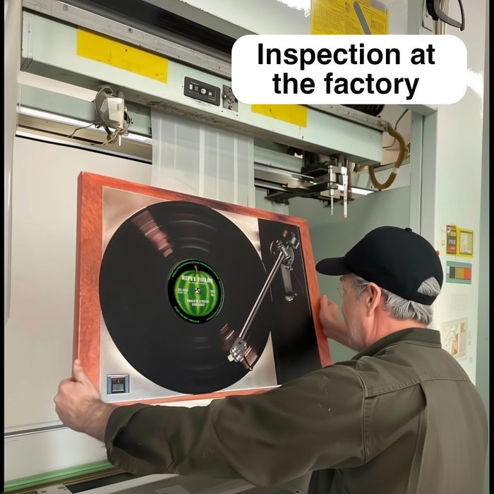 Record Player Canvas Print