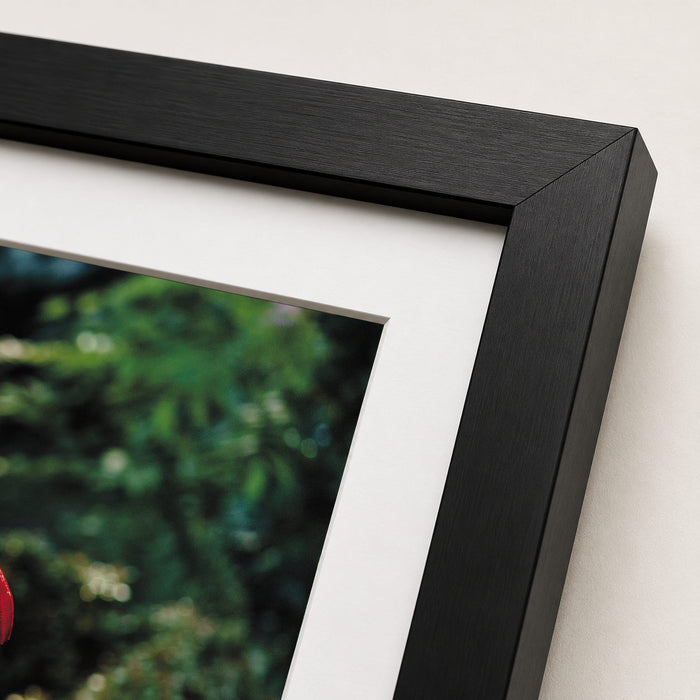 Fizzy Friday Framed Print