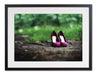 A framed print with a black frame, the print showing a pair of purple high heel shoes on a path through a woodland area