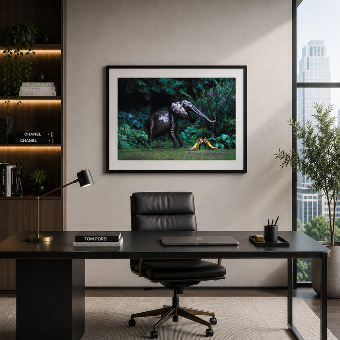 Elephants & Shoes Framed Print