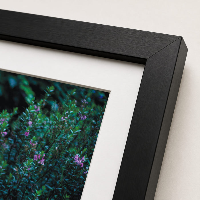 Elephants & Shoes Framed Print