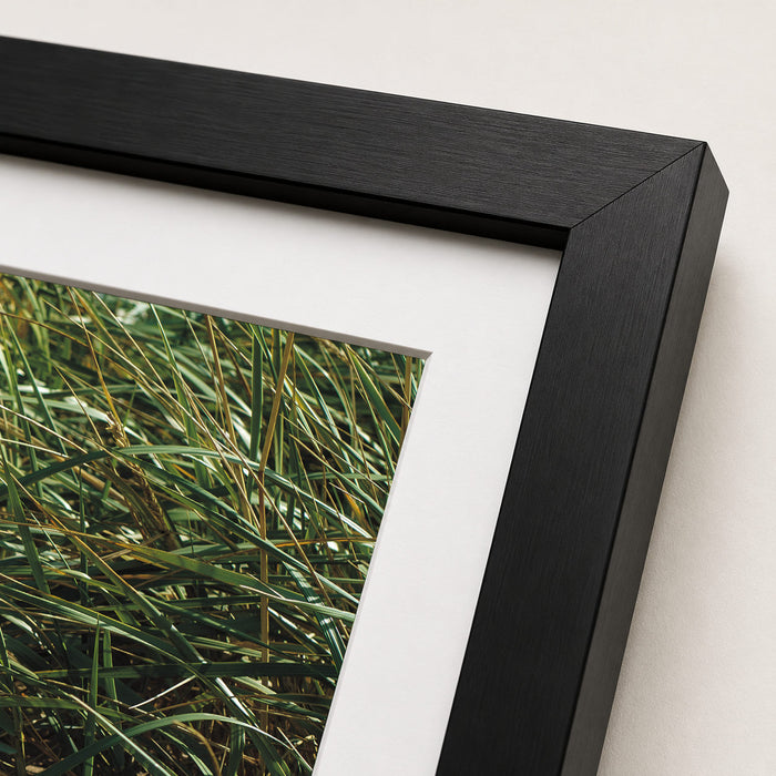 Shoes On The Beach Framed Print