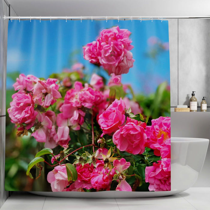 A shower curtain showing an image of pink roses, the curtain is pulled open adjacent to a bath