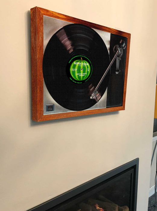 Record Player Canvas Print