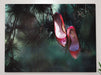 A canvas print on a wall, the print showing a pair of red high heel shoes hanging from the branch of a tree