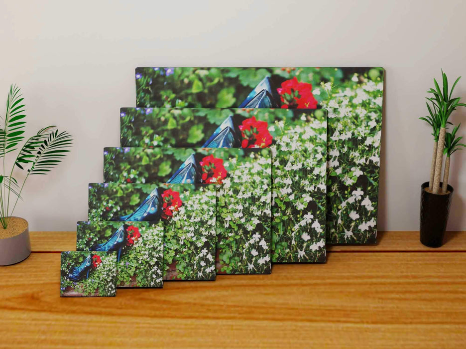 multiple sizes of a canvas print, each print having a pair of blue shoes sat in a flower bed, with green leaves and white flowers, all leaning against each other on a wooden floor