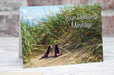 a greetings or birthday card showing a pair of multicoloured high heel shoes on a beach in the sand hills, with sand hill grasses in close proximity to the shoes and a clear blue sky in the background
